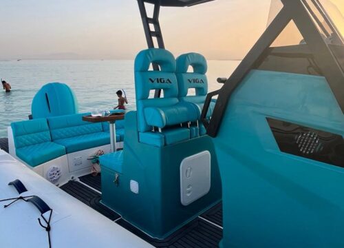 Privates Schnellboot 4 Stunden Dolphin