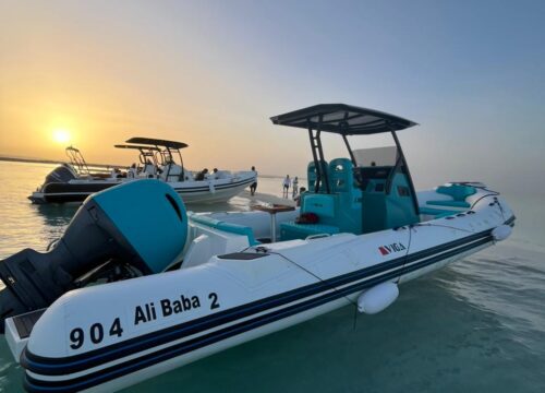 Ganztägiger privater Schnellbootausflug