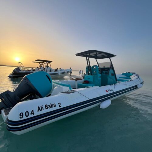 Ganztägiger privater Schnellbootausflug